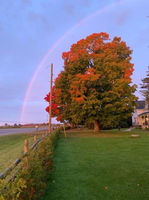 The Barns Of Brighton Near Prince Edward County 외부 사진